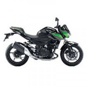 Carene Kawasaki Z400