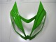 Carena Moto Kawasaki ZX6R 2013-2018 - Verde Bianco Nero Lucido