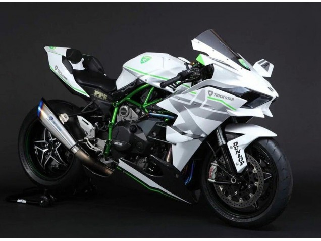Carena Moto Kawasaki Ninja H2 2015-2022 - Bianco Argento Verde
