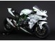 Carena Moto Kawasaki Ninja H2 2015-2022 - Bianco Argento Verde