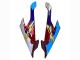 Carena Moto BMW S1000RR 2019-2022 - Bianco Blu Rosso Nero