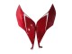 Carena Moto Ducati 1199 2011-2014 - Rosso