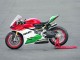 Carena Moto Ducati 1299 2015-2020 - Bianco Rosso Verde Nero Opaco