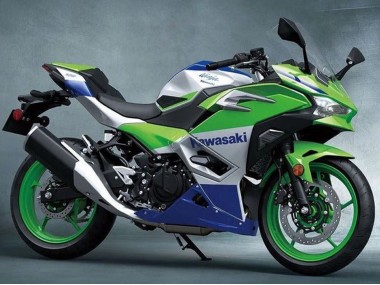 Carena Moto Kawasaki Ninja 500 EX500R 2024-2025 - Argento Verde Blu